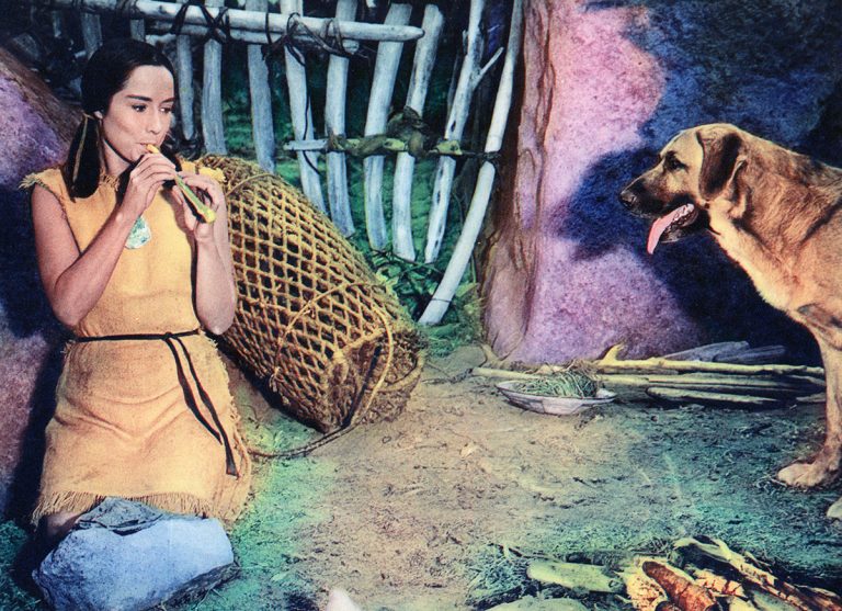 Gallery Island of the Blue Dolphins Movie