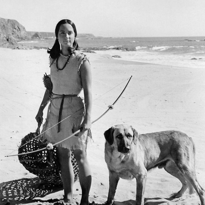 Island of the Blue Dolphins Movie Gallery