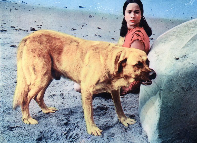 Gallery Island of the Blue Dolphins Movie